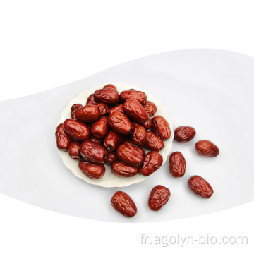 Snack de plus grande qualité de bonne qualité Jujube rouge